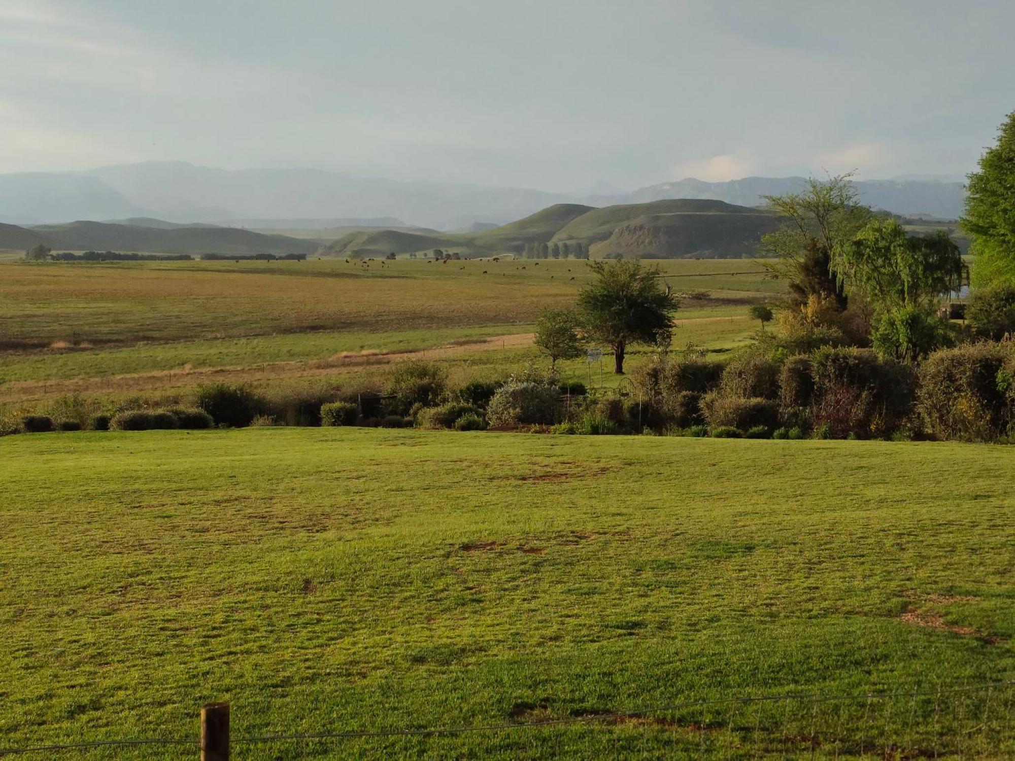 Sani Pass View Cottage Himeville Bagian luar foto